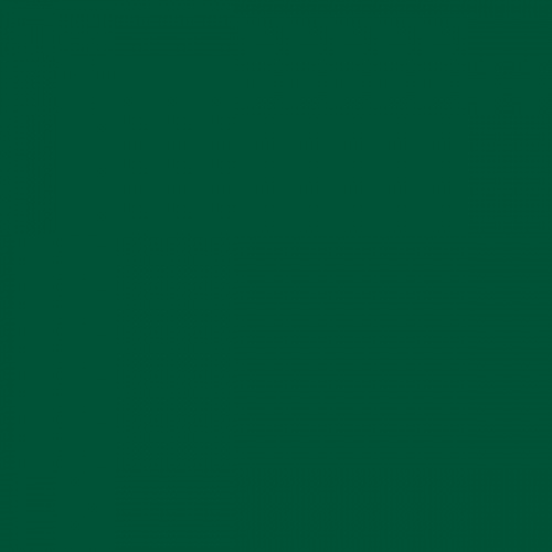 RAL 6005